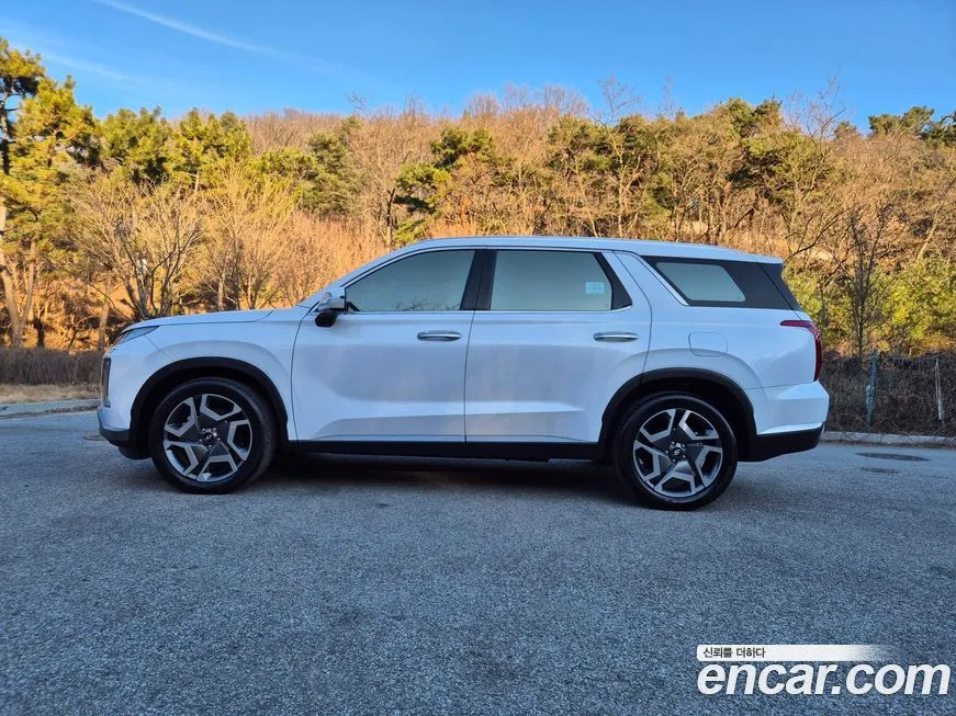 Hyundai Palisade — фото 2