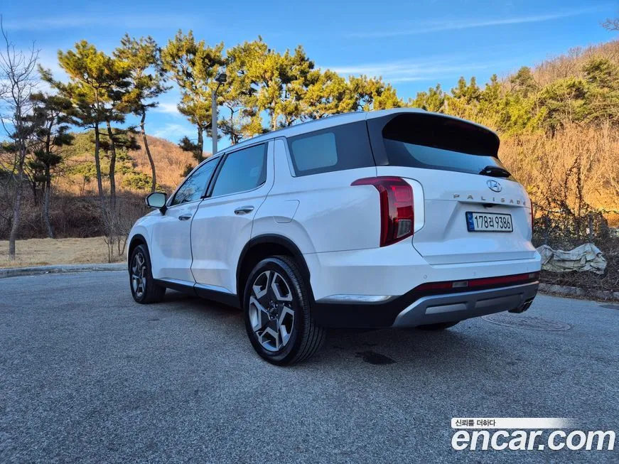 Hyundai Palisade — фото 9