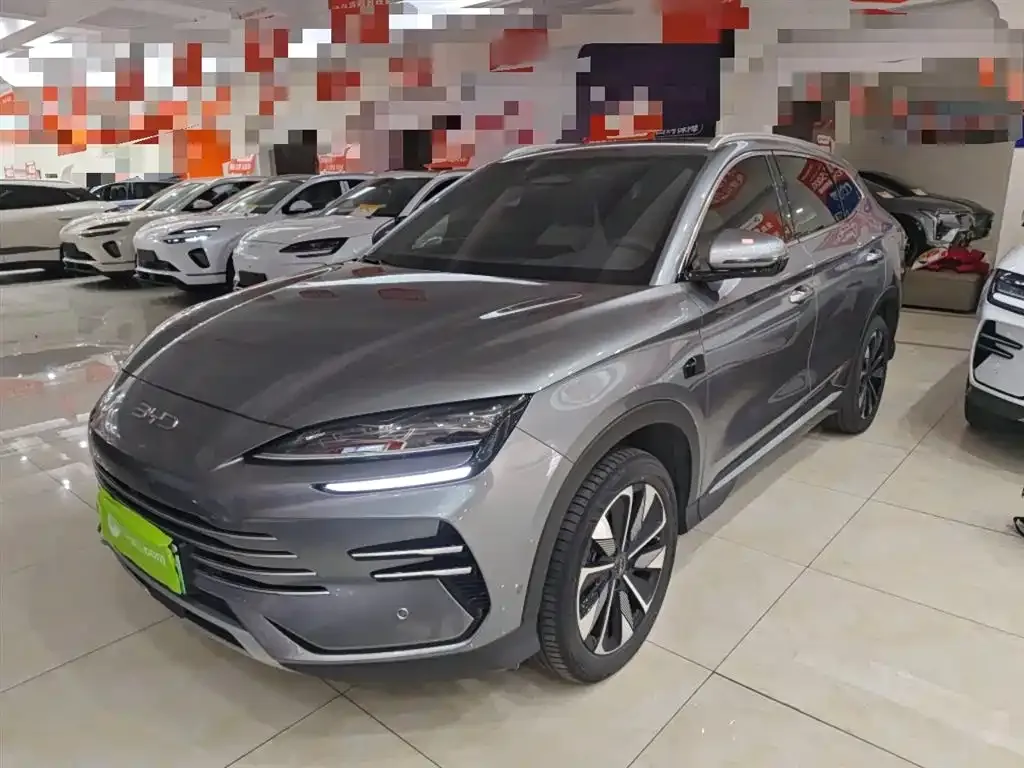 BYD PLUS New Energy — фото 1