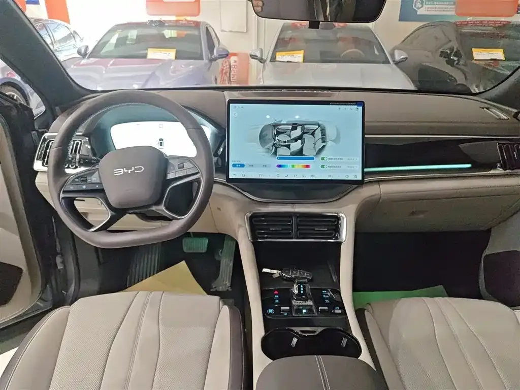 BYD PLUS New Energy — фото 2
