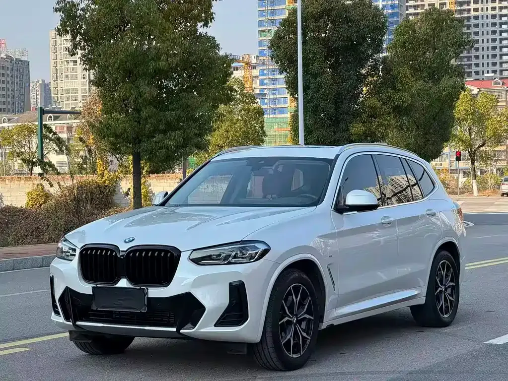 BMW X3 — фото 1