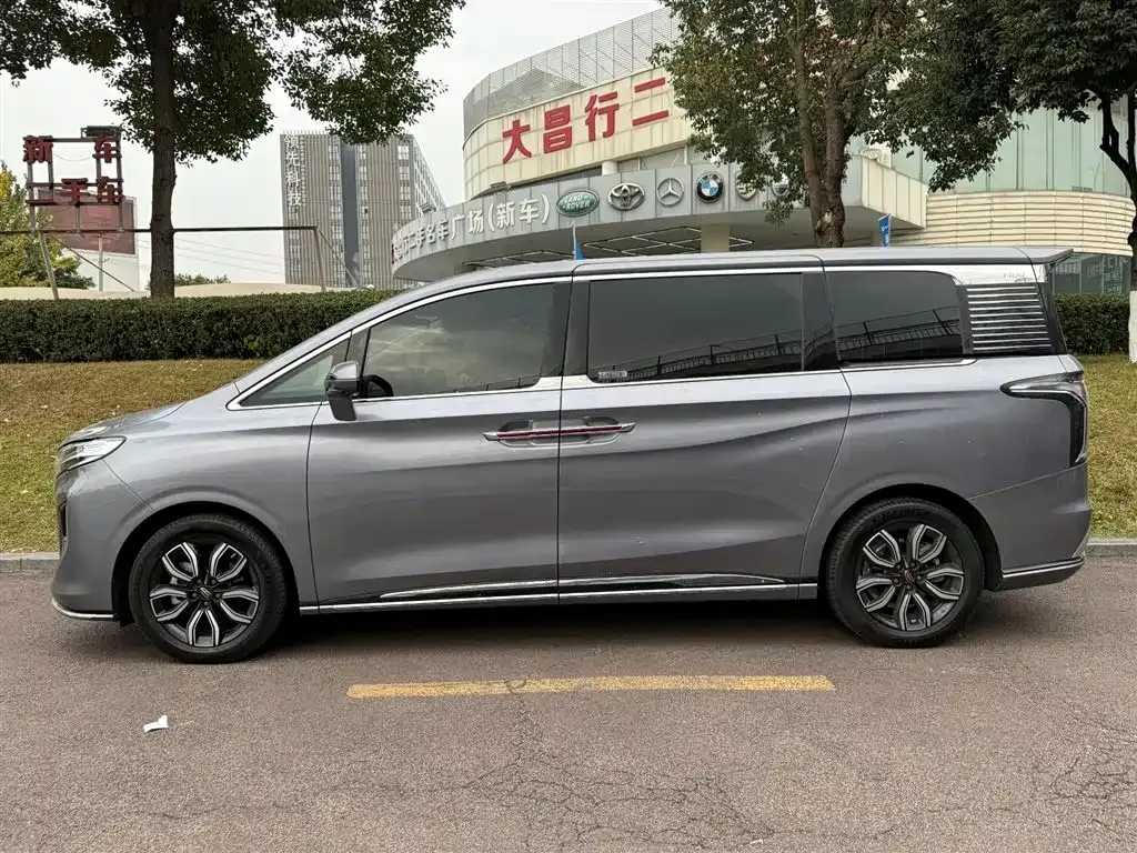 Hongqi HQ9 — фото 9