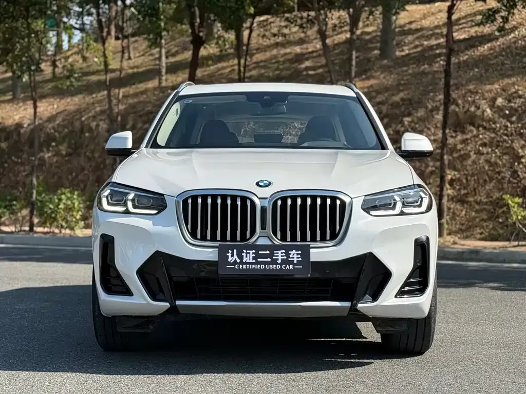 BMW X3 — фото 2