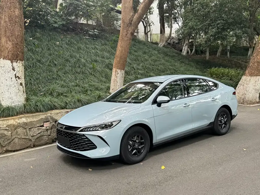 BYD Qin PLUS — фото 10