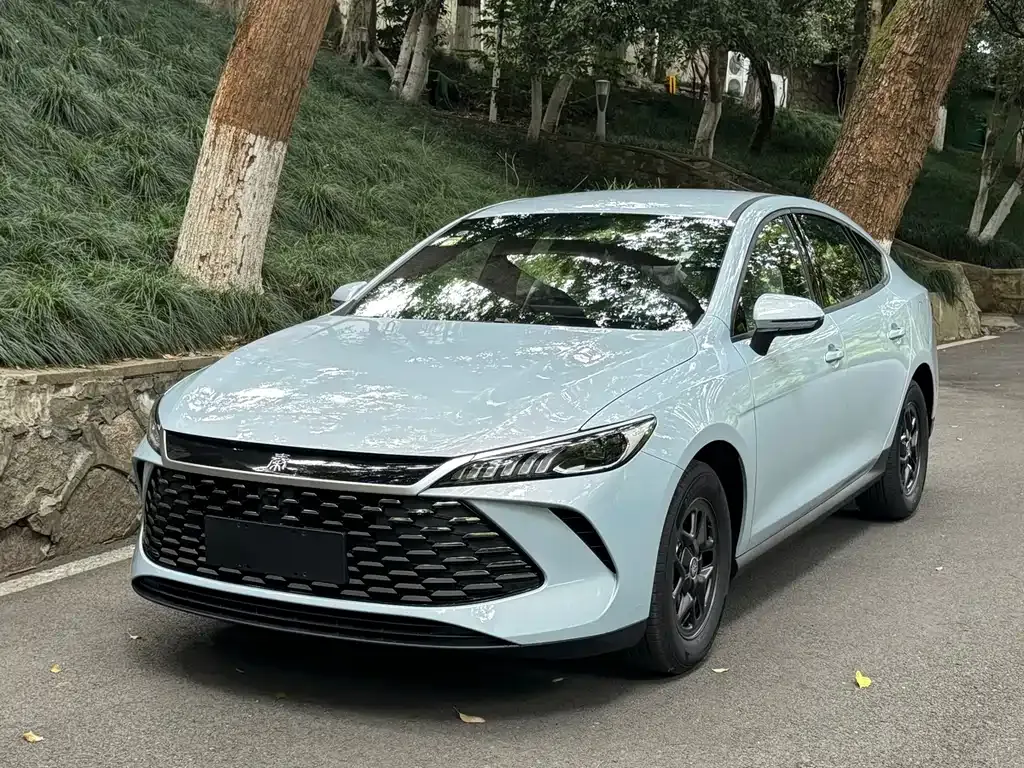 BYD Qin PLUS — фото 8