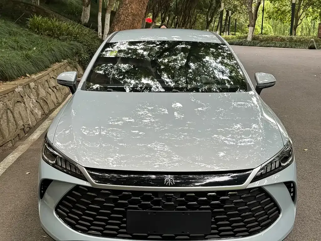 BYD Qin PLUS — фото 6