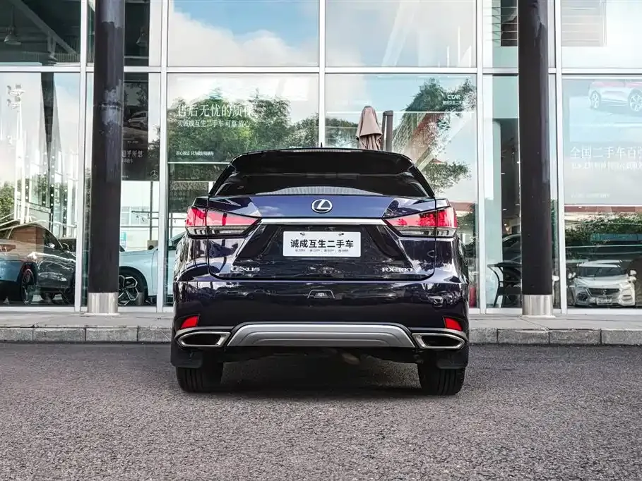 Lexus RX — фото 10