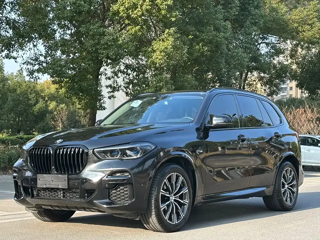 BMW X5 (Import) — фото 1
