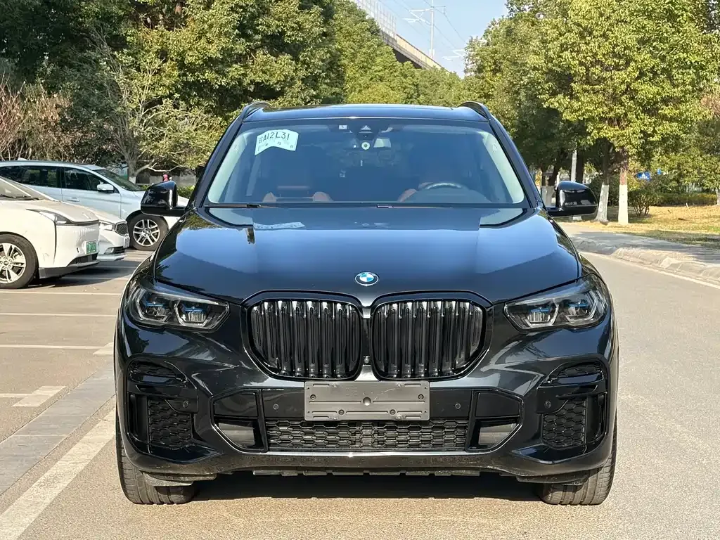 BMW X5 (Import) — фото 10