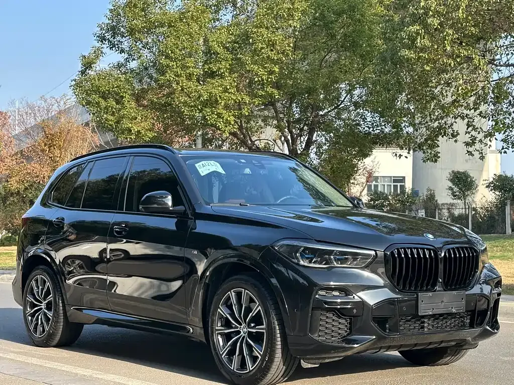 BMW X5 (Import) — фото 5