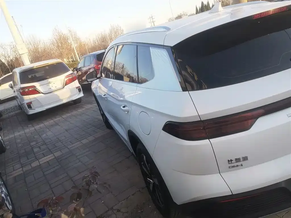 BYD Pro New Energy — фото 3