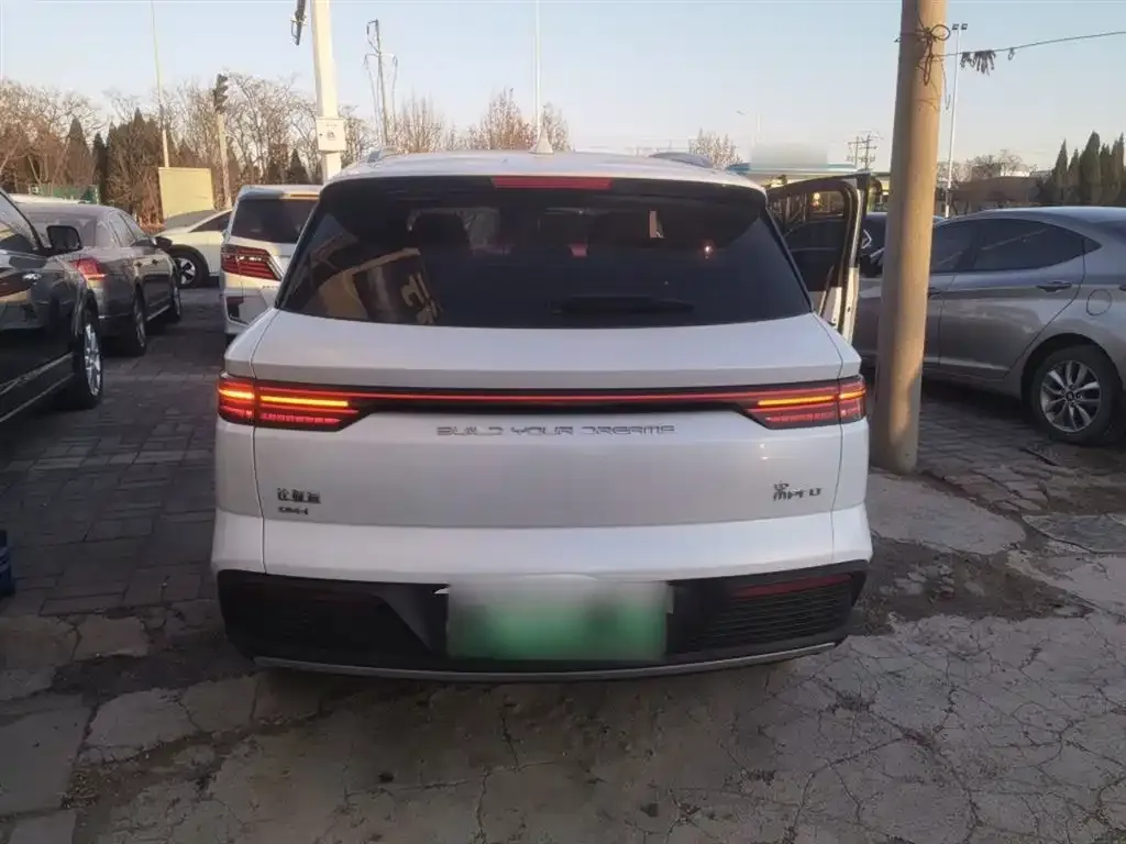 BYD Pro New Energy — фото 2