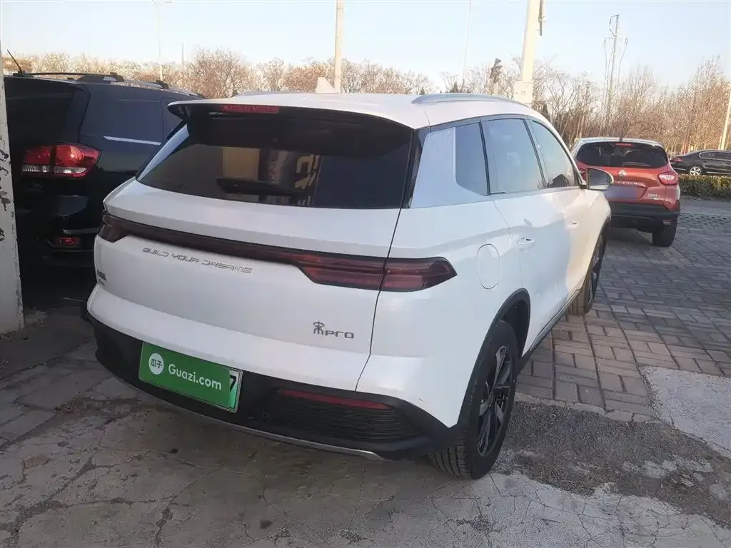 BYD Pro New Energy — фото 6