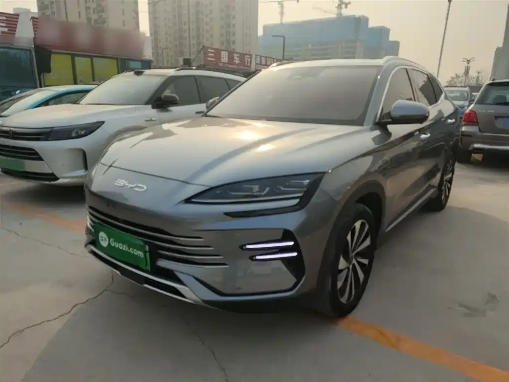 BYD PLUS New Energy — фото 2