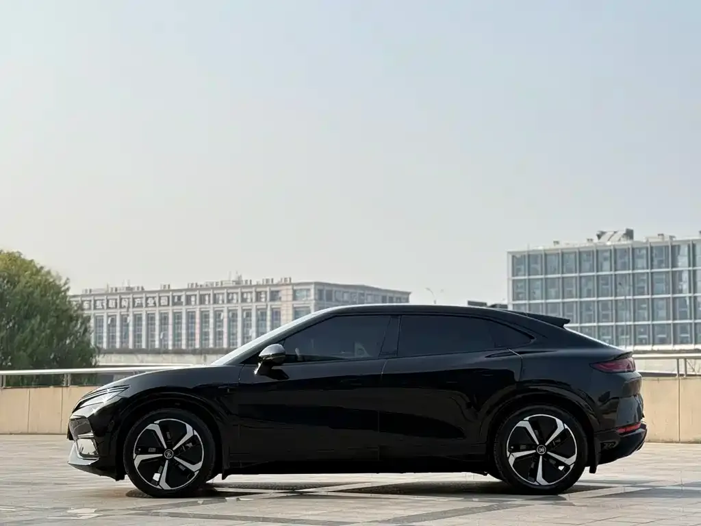 BYD L EV — фото 3