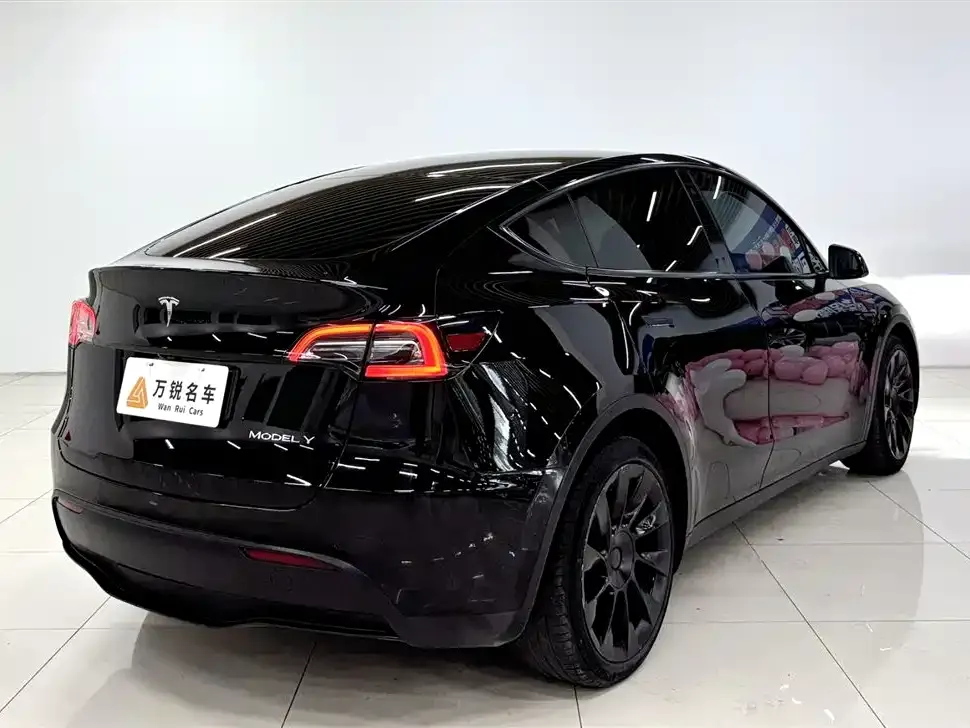Tesla Model Y — фото 5