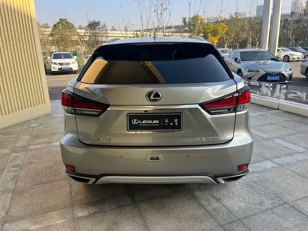 Lexus RX — фото 6