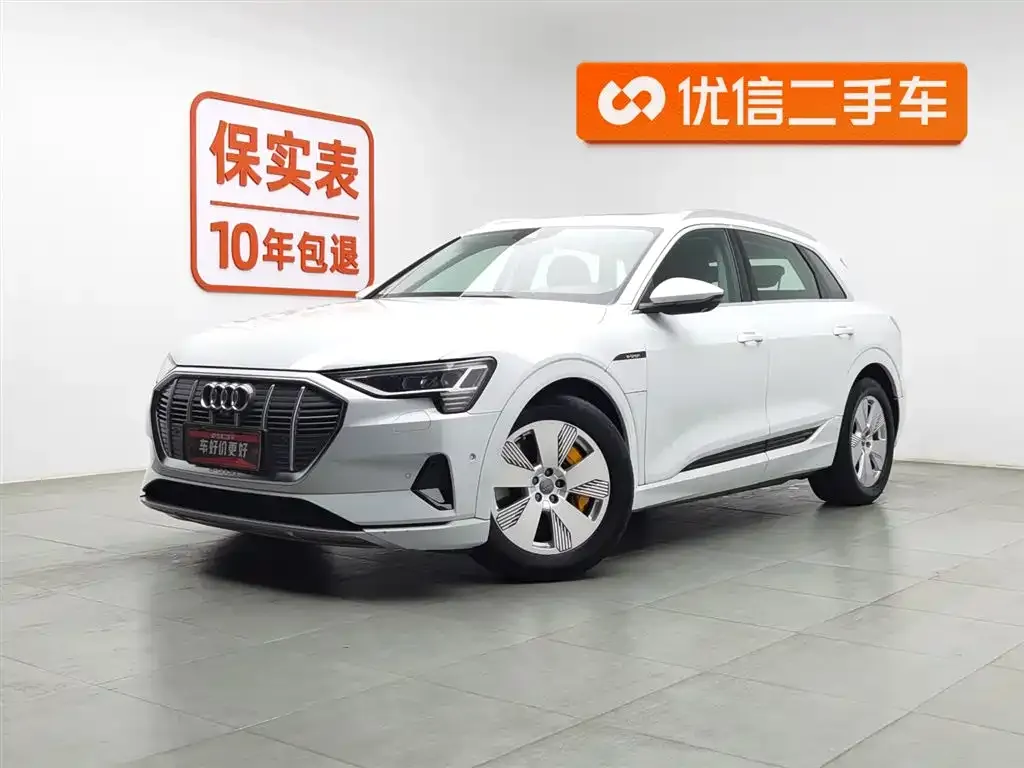 Audi e-tron (Import) — фото 1