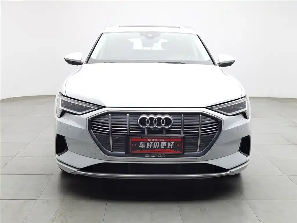 Audi e-tron (Import) — фото 3