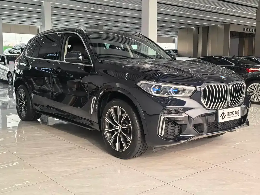 BMW X5 — фото 9