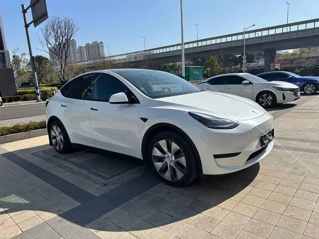 Tesla Model Y — фото 2