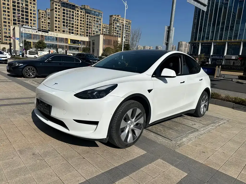 Tesla Model Y — фото 3