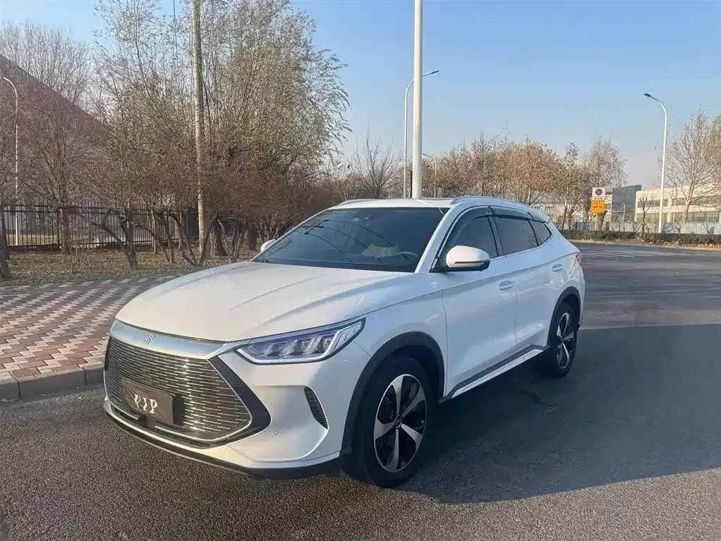 BYD PLUS New Energy — фото 1