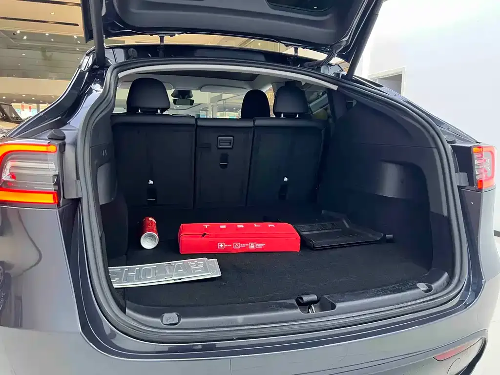 Tesla Model Y — фото 8