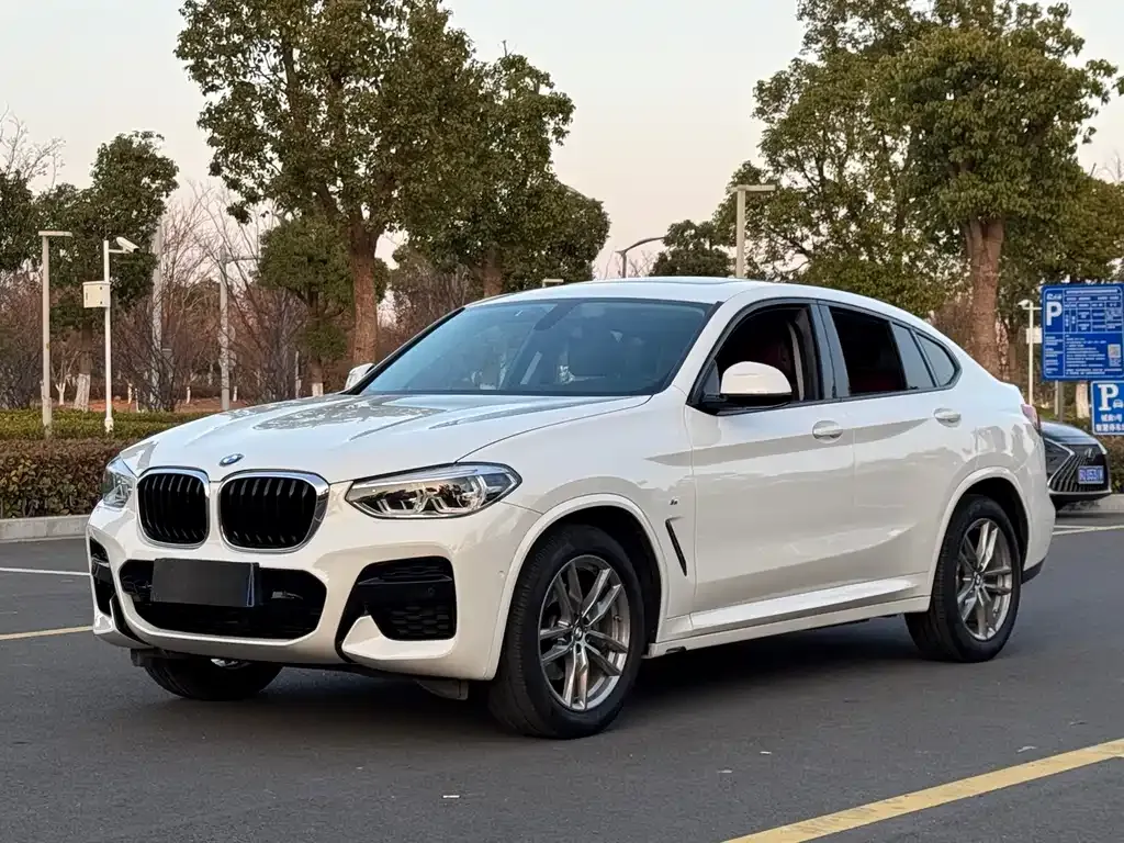 BMW X4 — фото 1