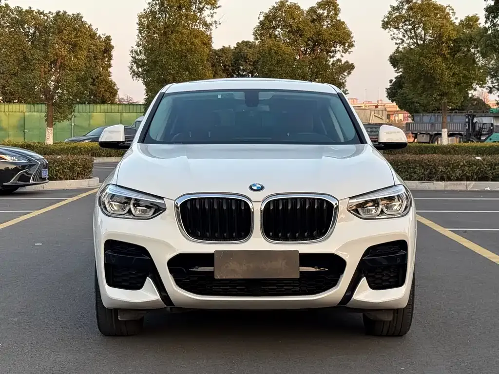 BMW X4 — фото 7