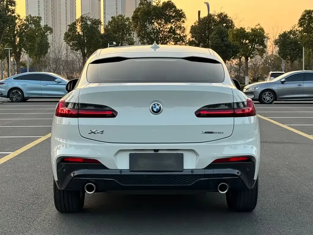 BMW X4 — фото 9
