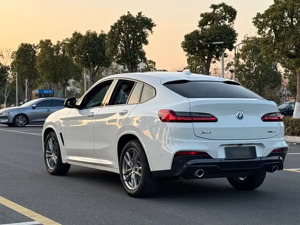 BMW X4 — фото 6