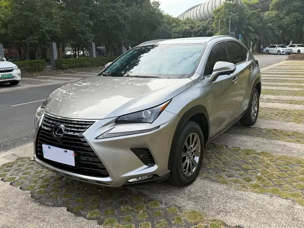 Lexus NX — фото 10