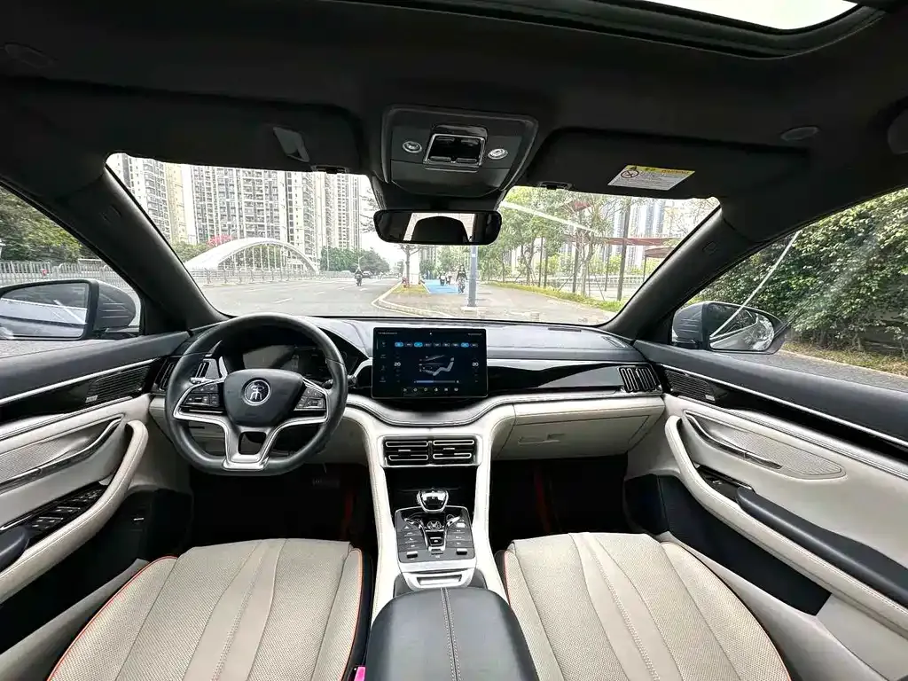 BYD PLUS New Energy — фото 4