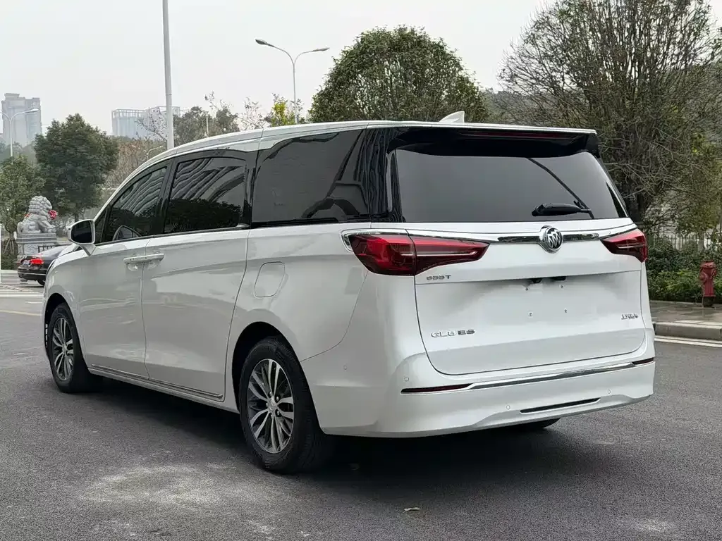Buick GL8 — фото 8