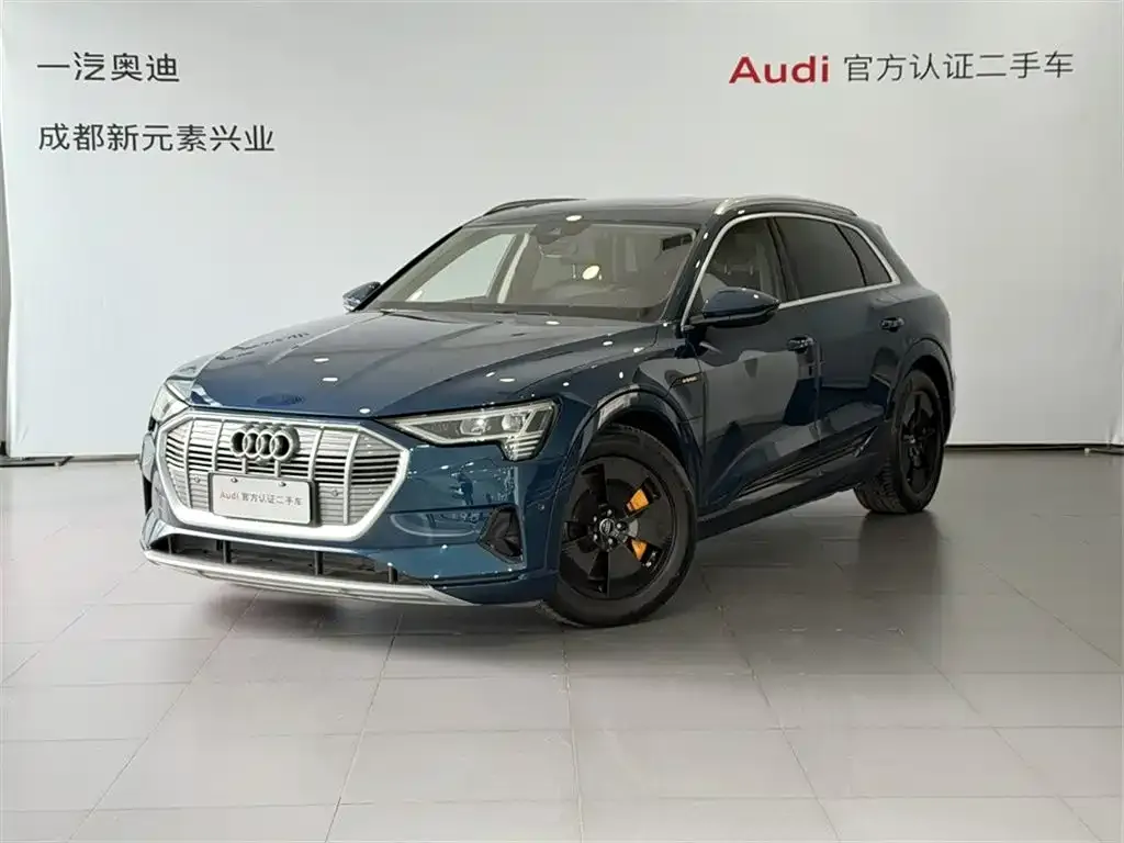 Audi e-tron (Import) — фото 1