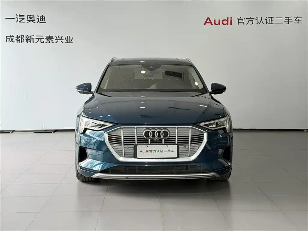 Audi e-tron (Import) — фото 2