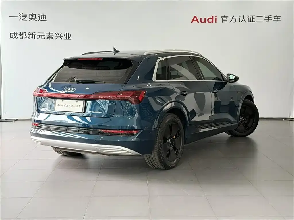 Audi e-tron (Import) — фото 9