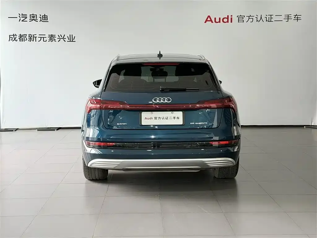 Audi e-tron (Import) — фото 5