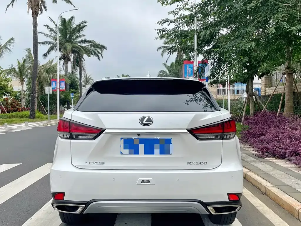 Lexus RX — фото 10