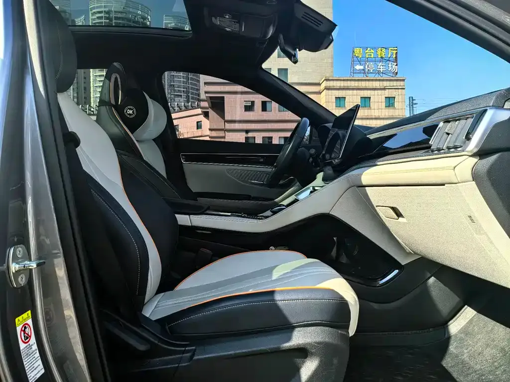 BYD PLUS New Energy — фото 10