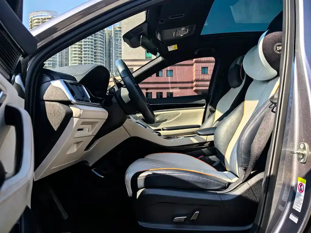 BYD PLUS New Energy — фото 4