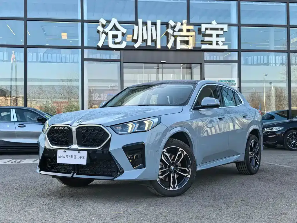BMW X2 (Import) — фото 1