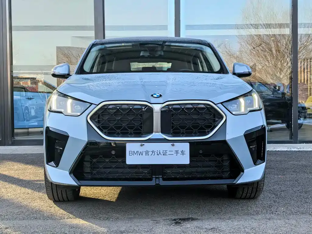 BMW X2 (Import) — фото 5