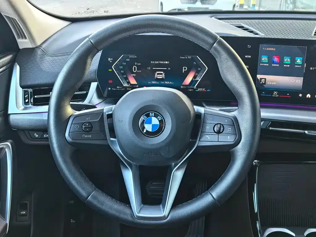 BMW X2 (Import) — фото 8