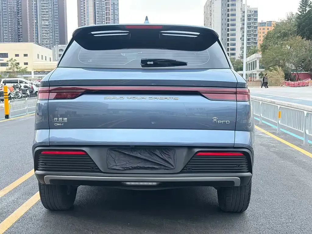 BYD Pro New Energy — фото 7