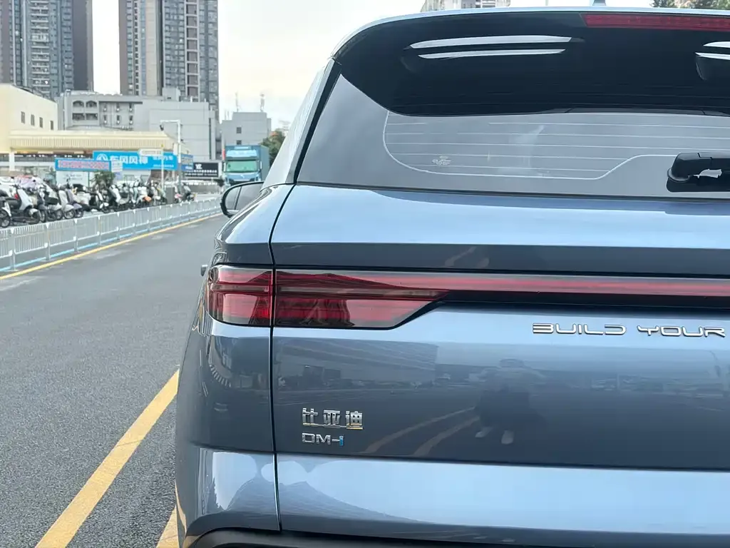 BYD Pro New Energy — фото 9