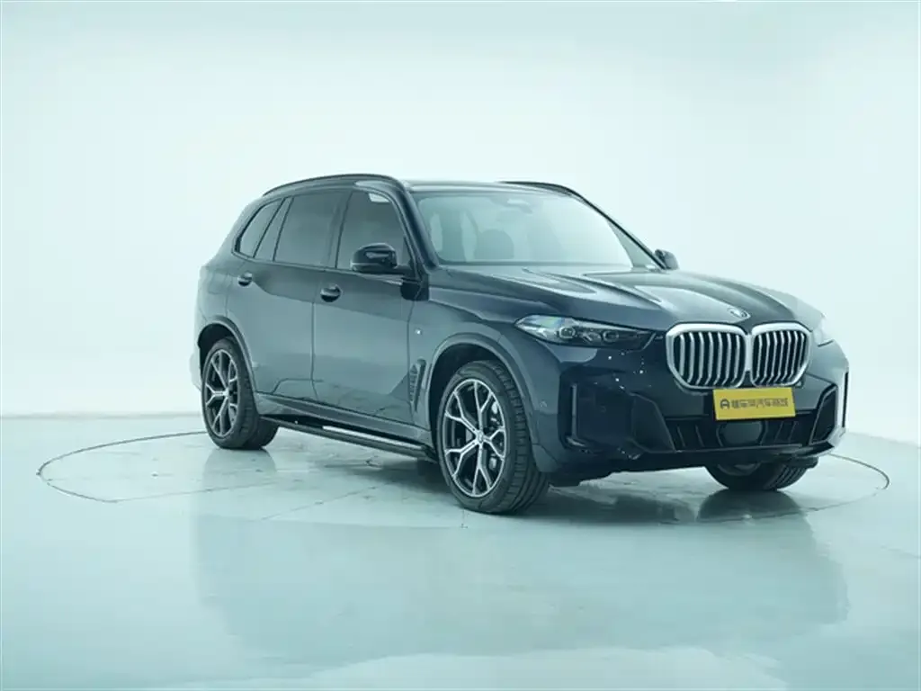 BMW X5 — фото 8