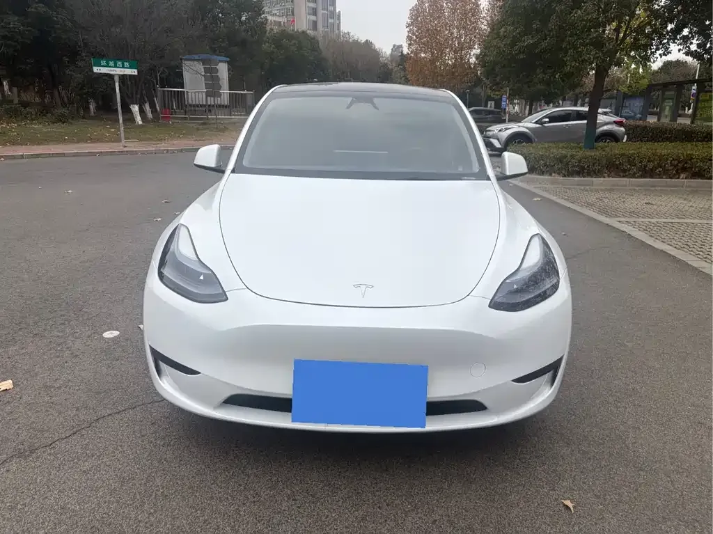 Tesla Model Y — фото 6
