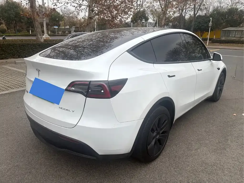 Tesla Model Y — фото 10
